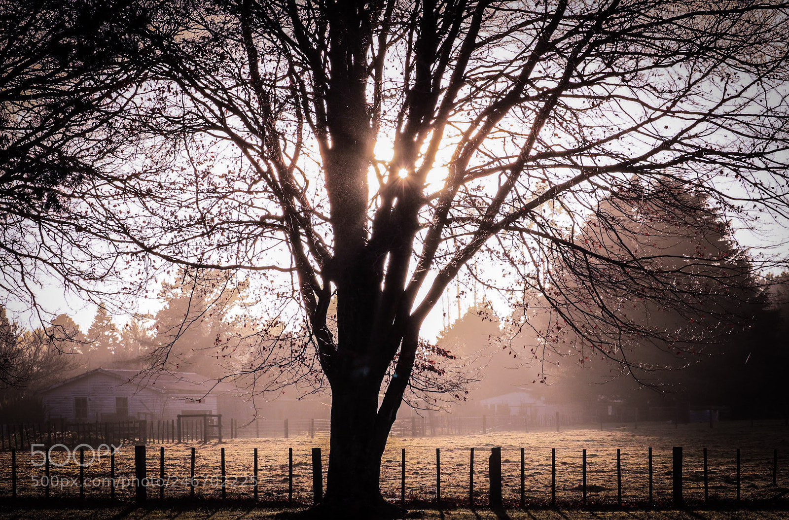 Canon EOS 750D (EOS Rebel T6i / EOS Kiss X8i) sample photo. Morning haze photography