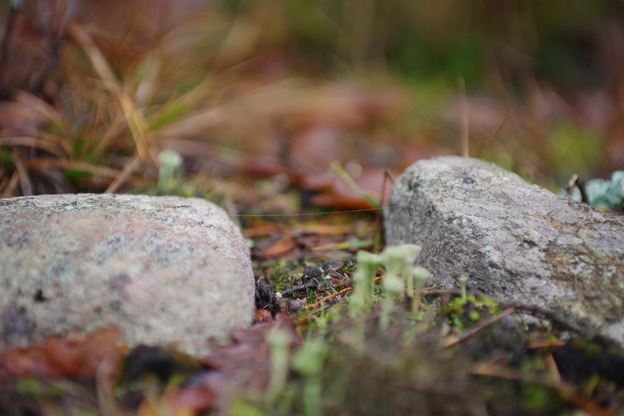 Pentax K-70 sample photo