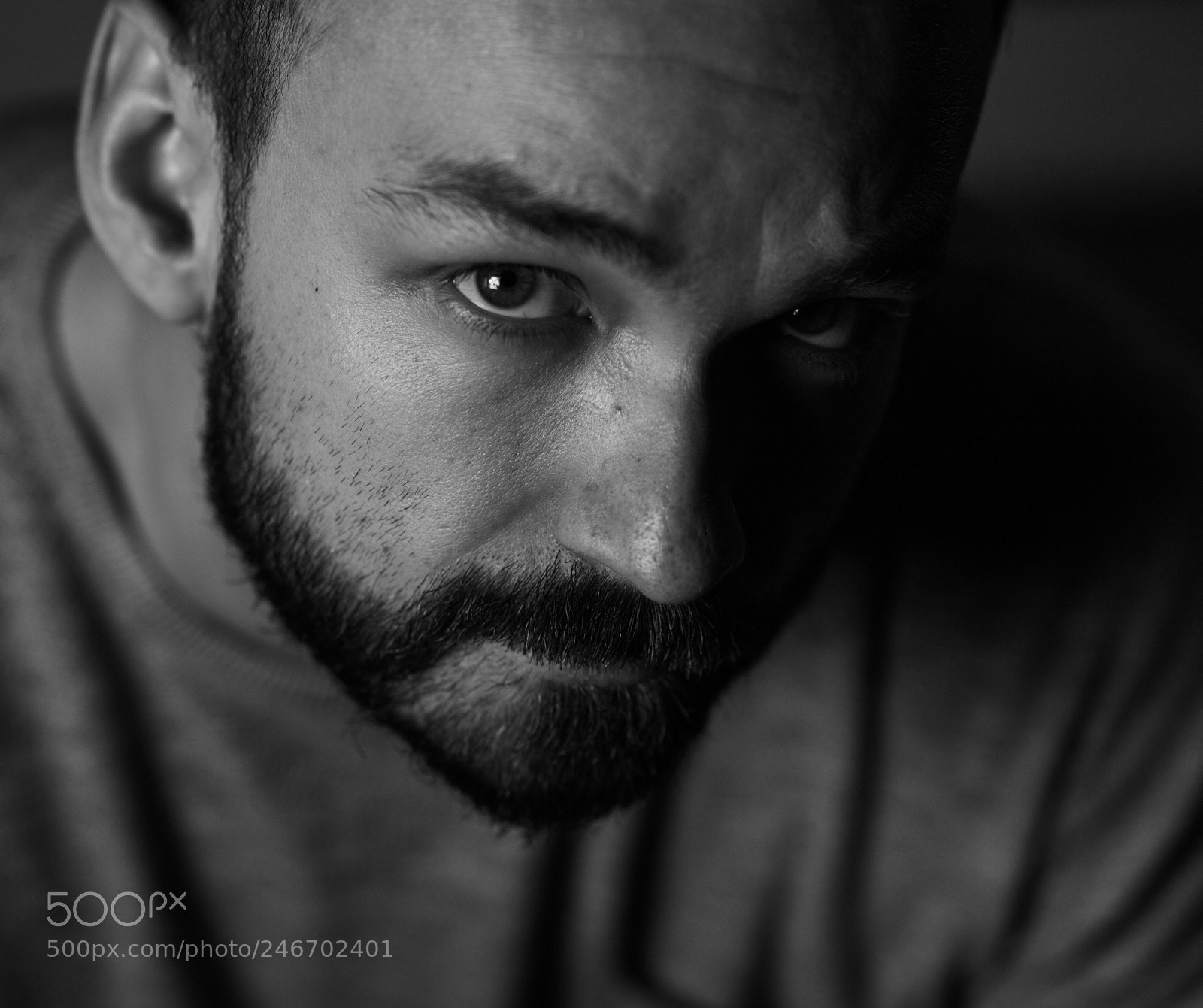Canon EOS 5DS R sample photo. Martin photography