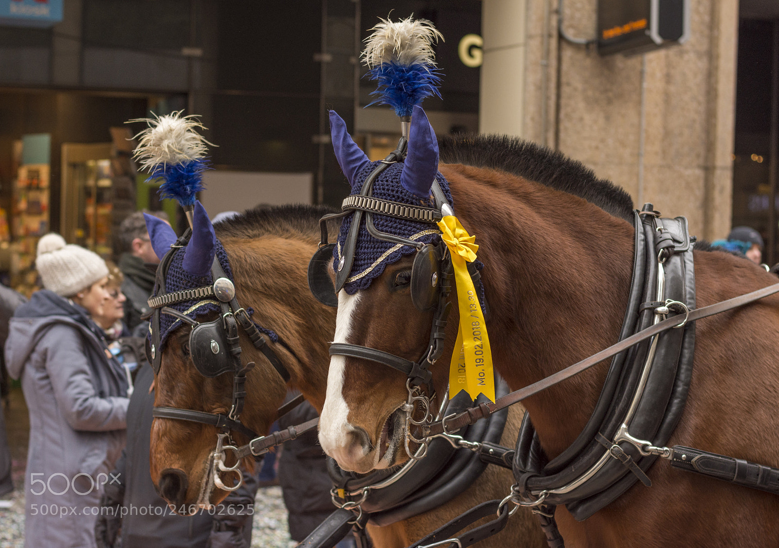 Nikon D7200 sample photo. Cortégé 2018 photography