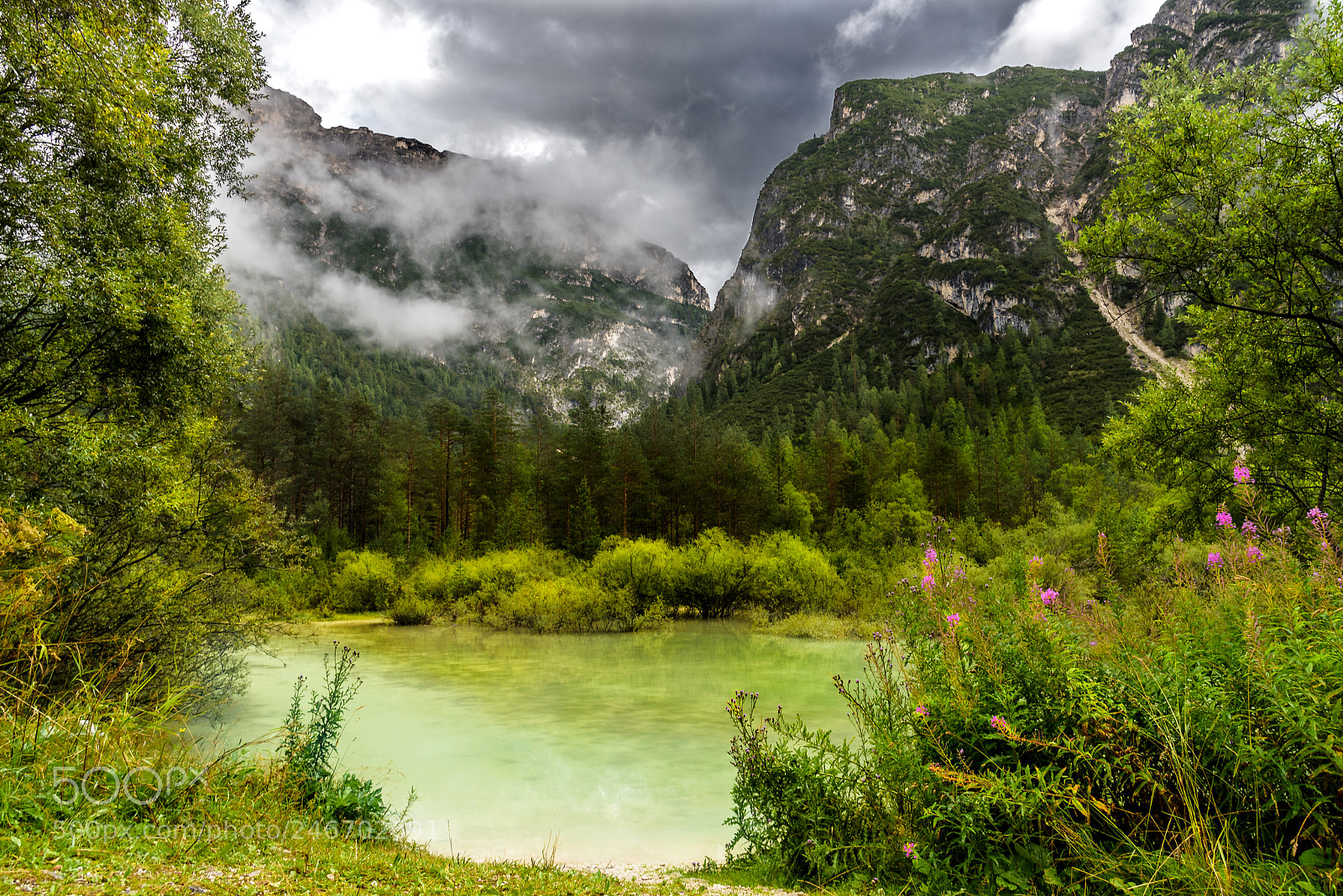 Nikon D810 sample photo. Green landscape photography