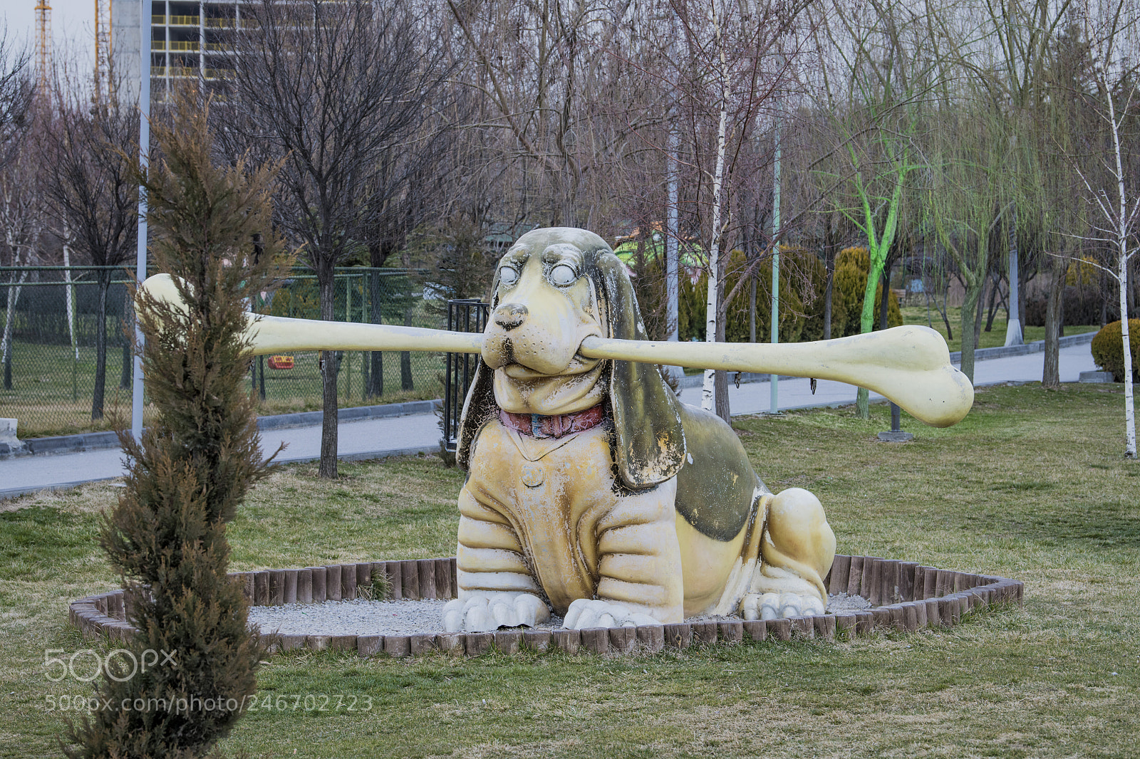 Nikon D850 sample photo. Statue dog photography