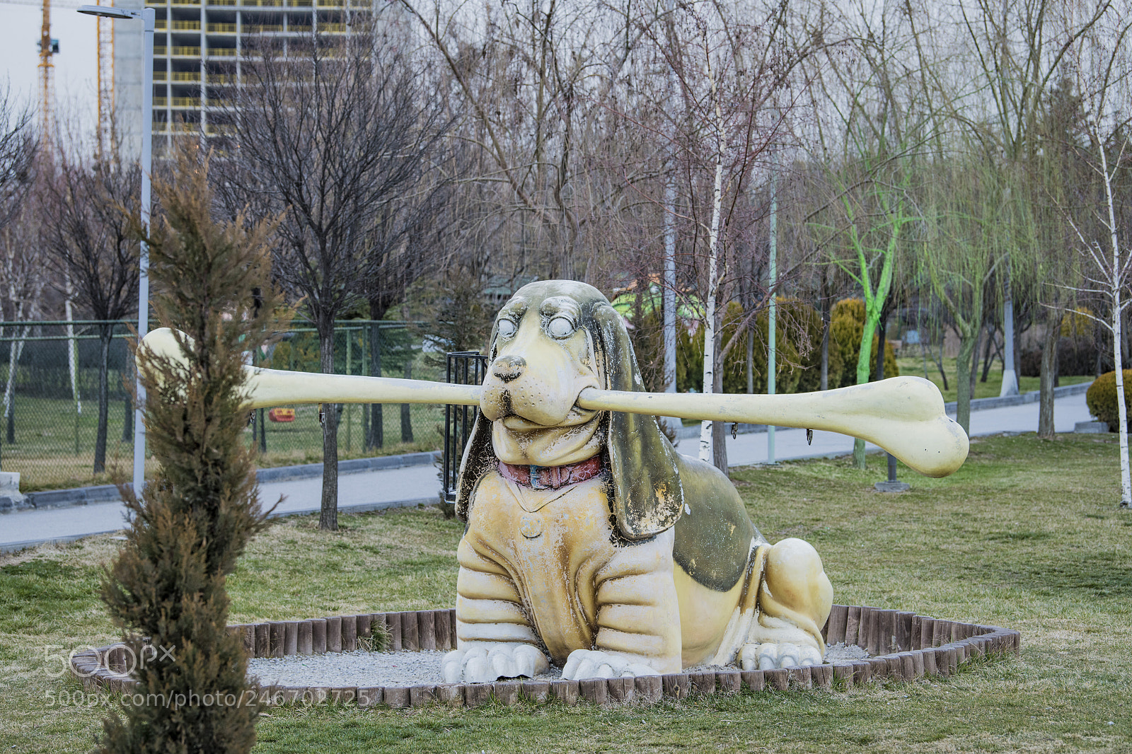 Nikon D850 sample photo. Statue dog photography