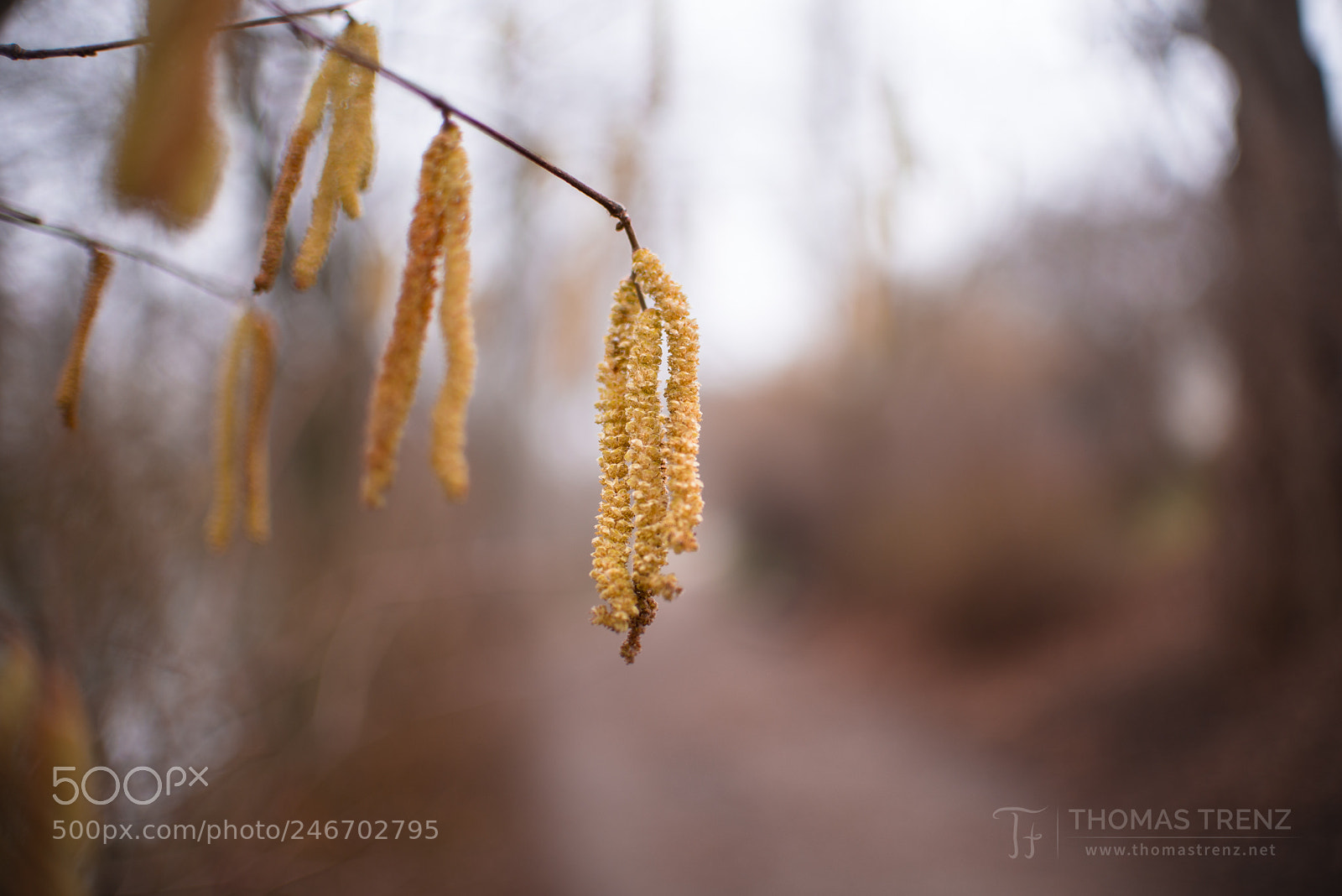 Nikon D600 sample photo. Nature on the way photography