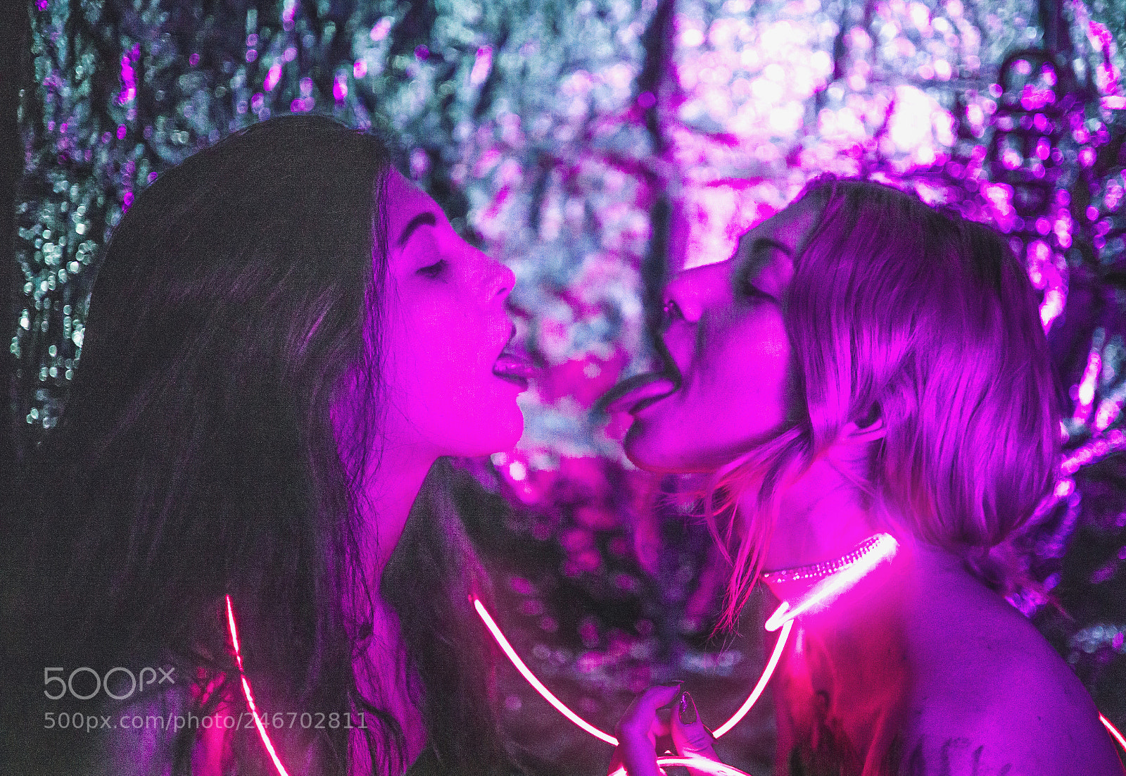 Nikon D610 sample photo. Valentine's kiss photography