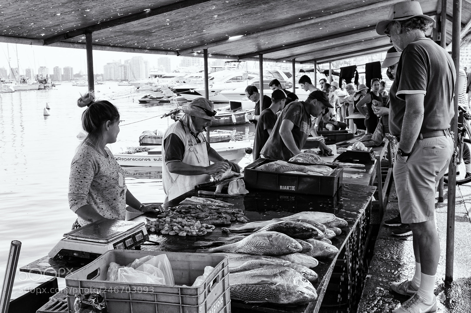 Sony a6300 sample photo. Fish market photography