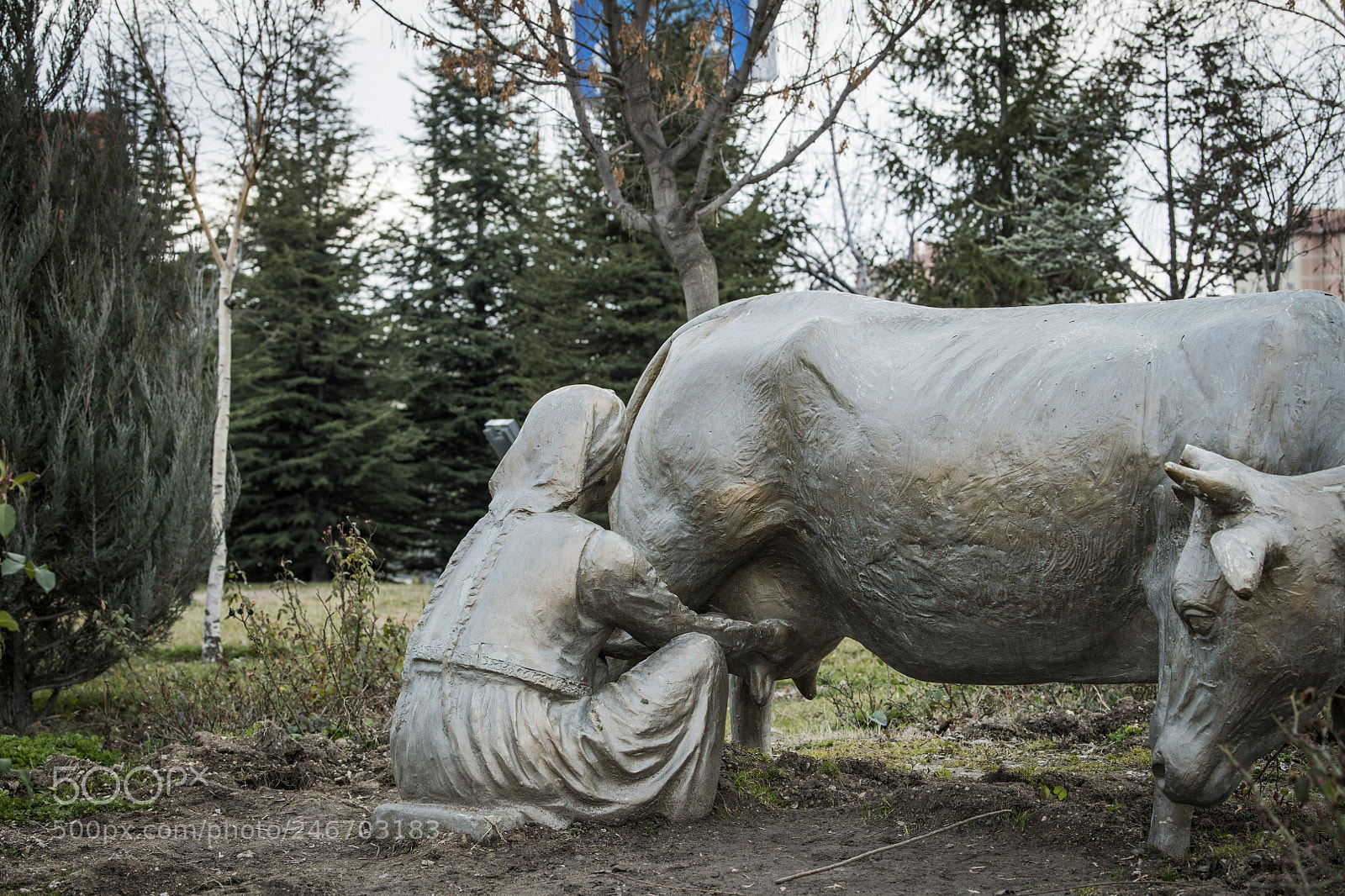 Nikon D850 sample photo. Statue golbasi cow and photography