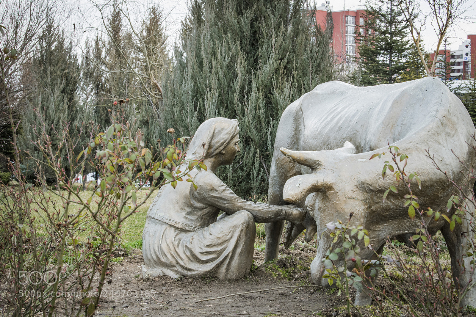 Nikon D850 sample photo. Statue golbasi cow and photography