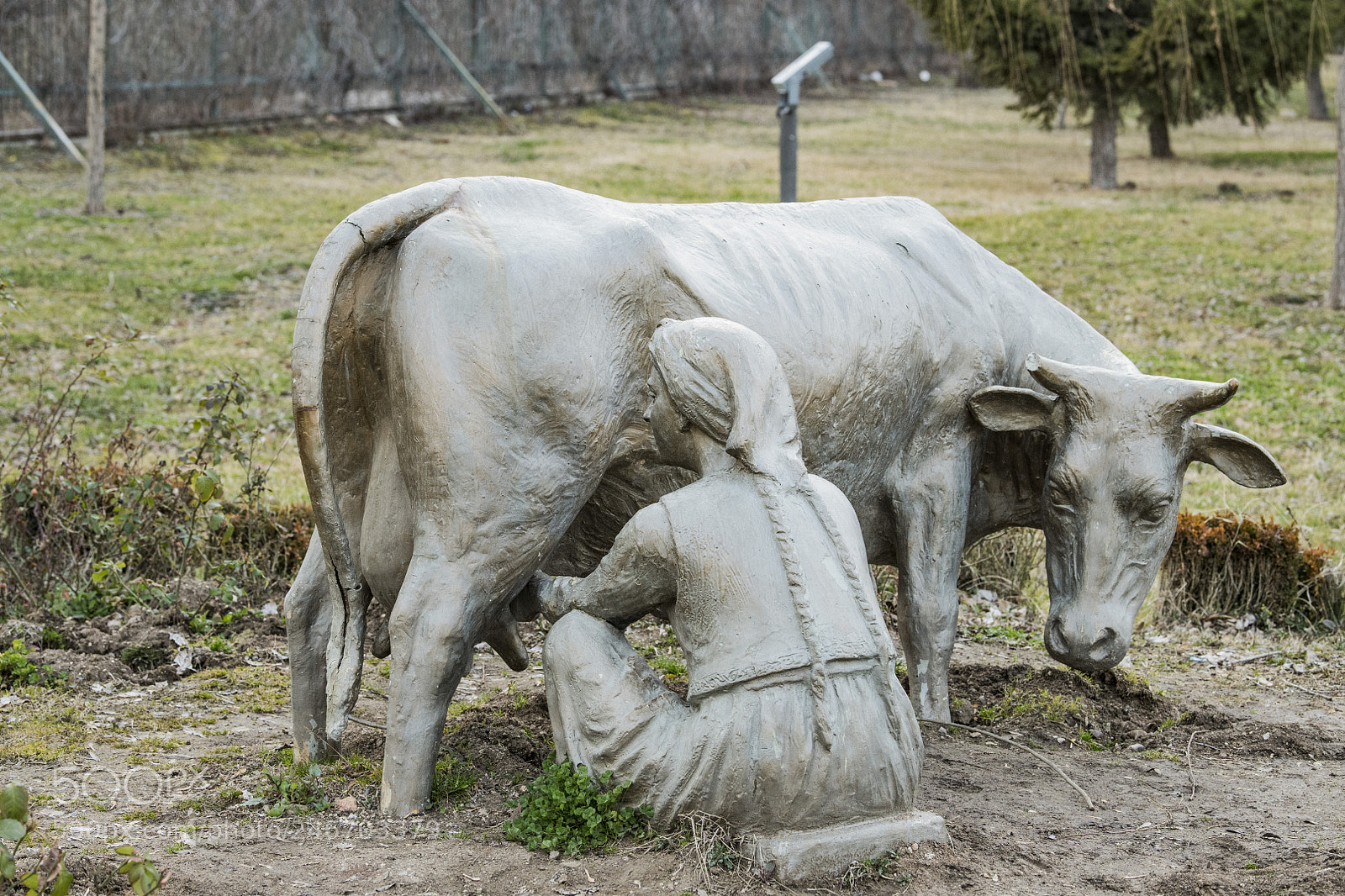 Nikon D850 sample photo. Statue golbasi cow and photography