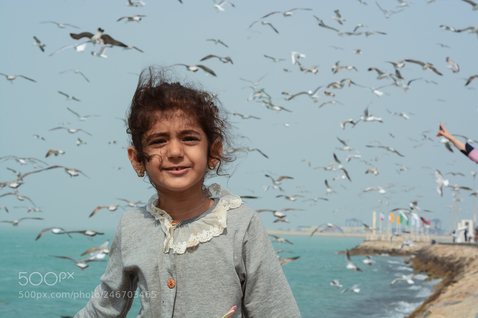 Nikon D7100 sample photo. Untitled photography