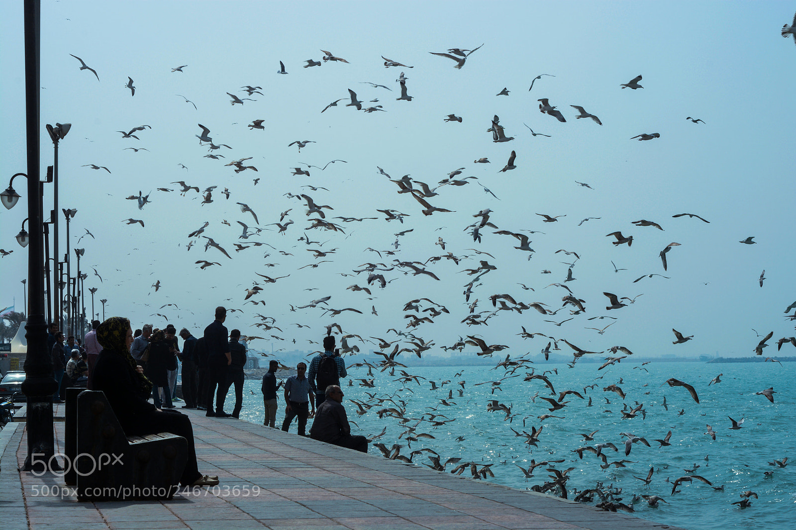 Nikon D7100 sample photo. Untitled photography