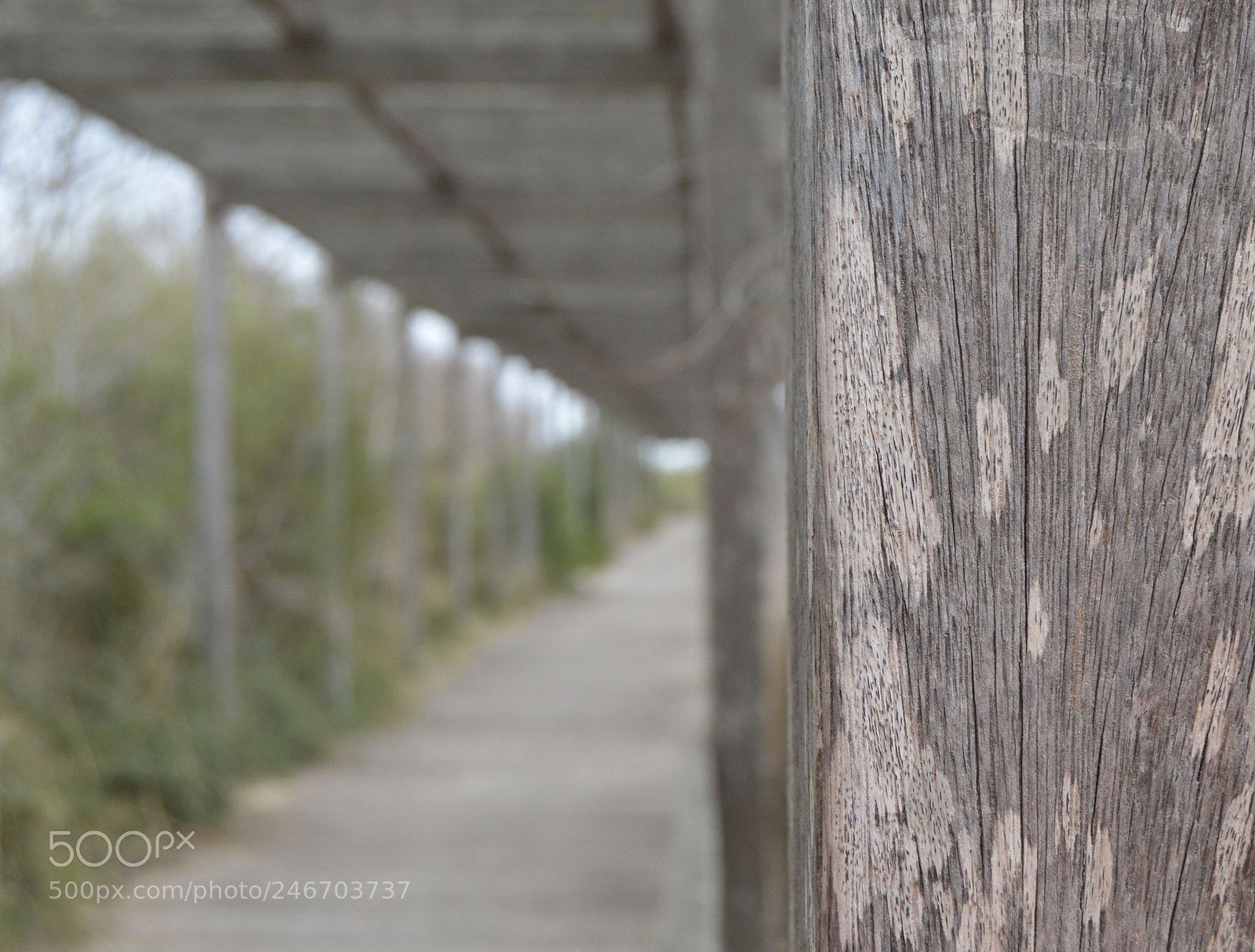 Nikon D3200 sample photo. Invierno photography