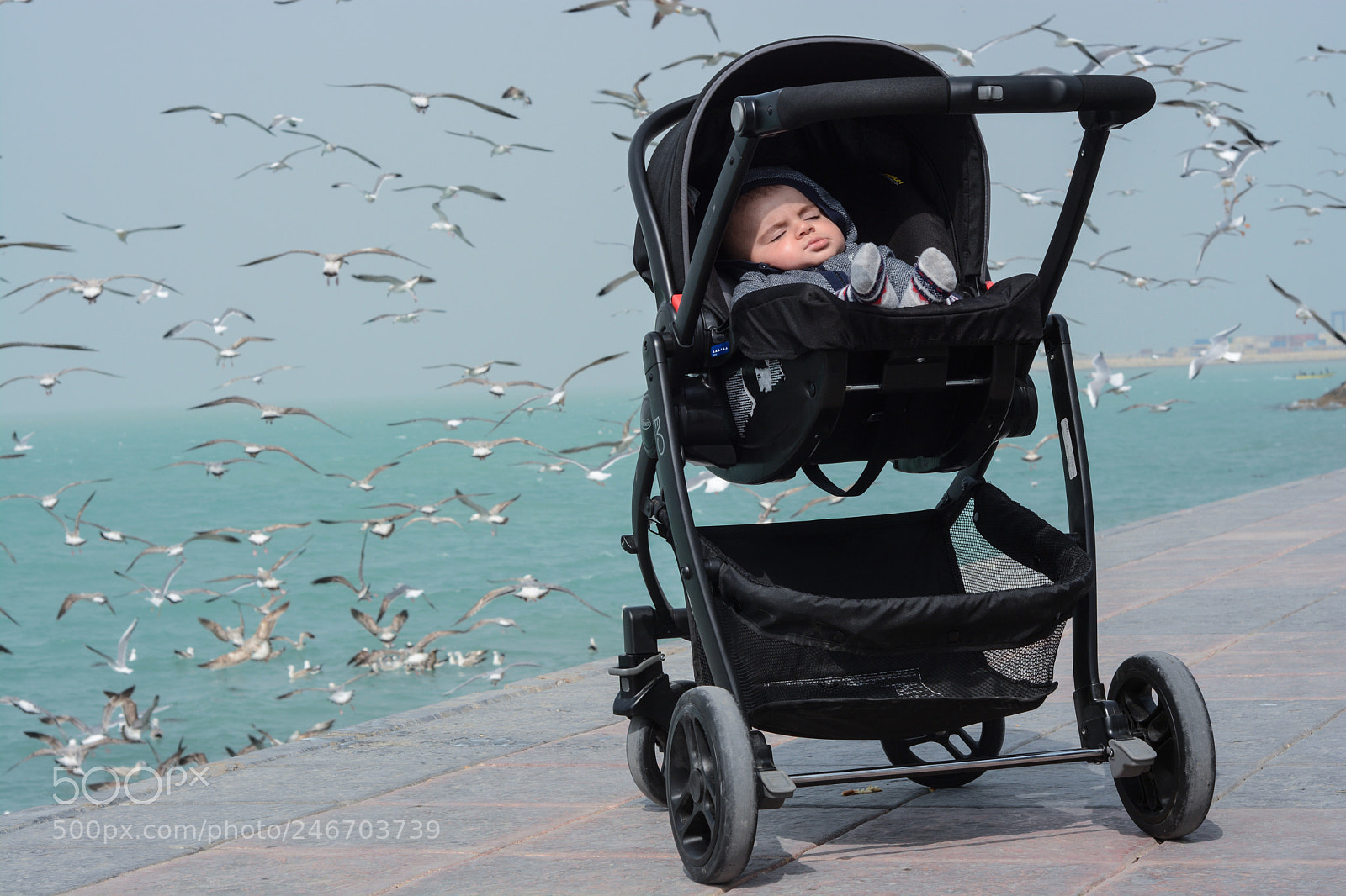 Nikon D7100 sample photo. Untitled photography