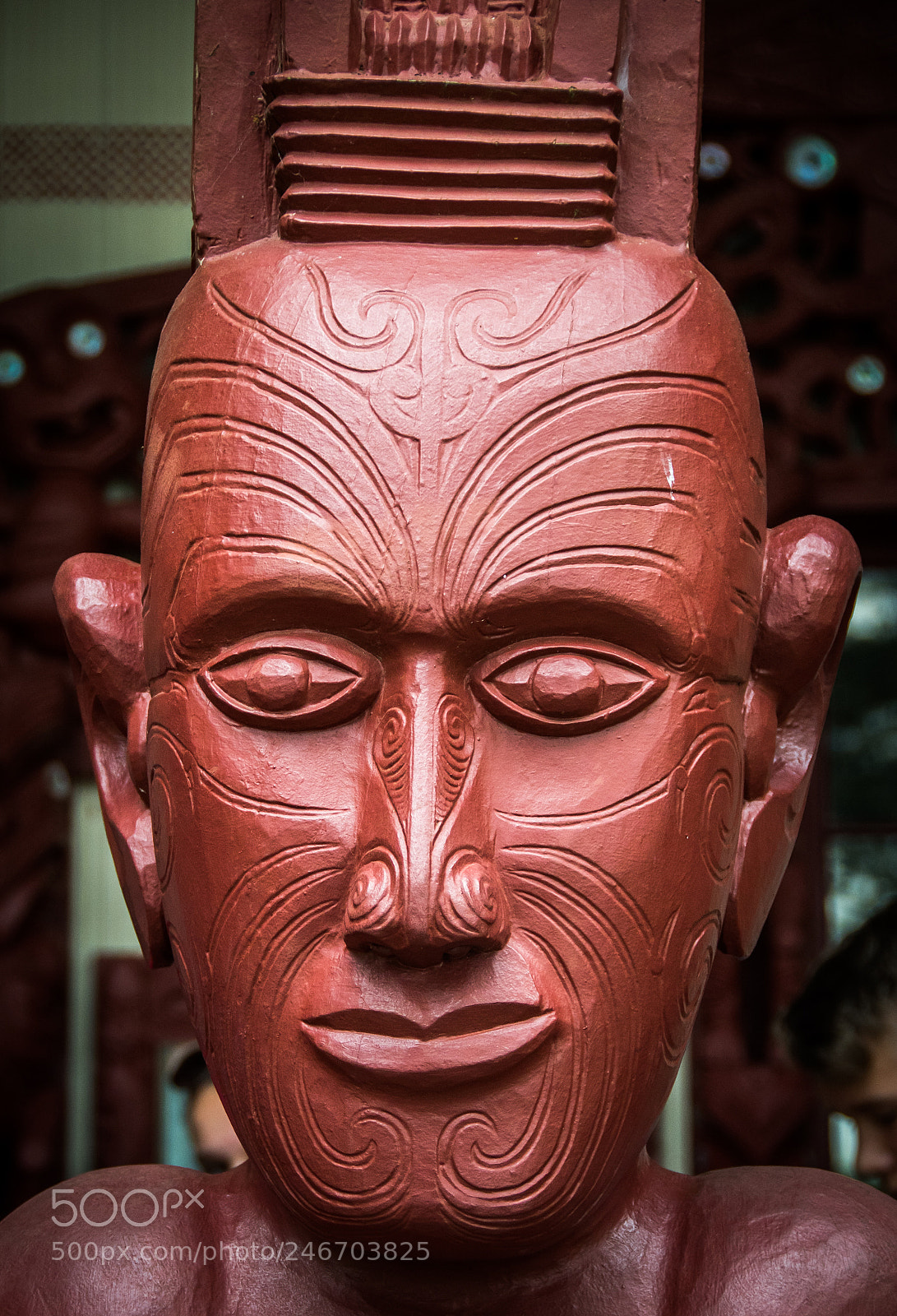 Nikon D500 sample photo. Ds photography