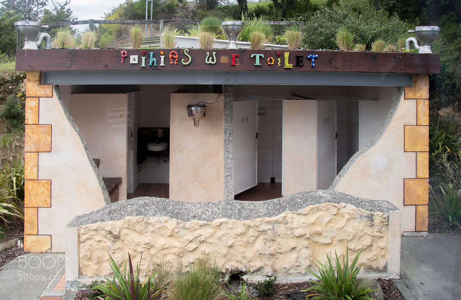 Nikon D500 sample photo. Ds photography