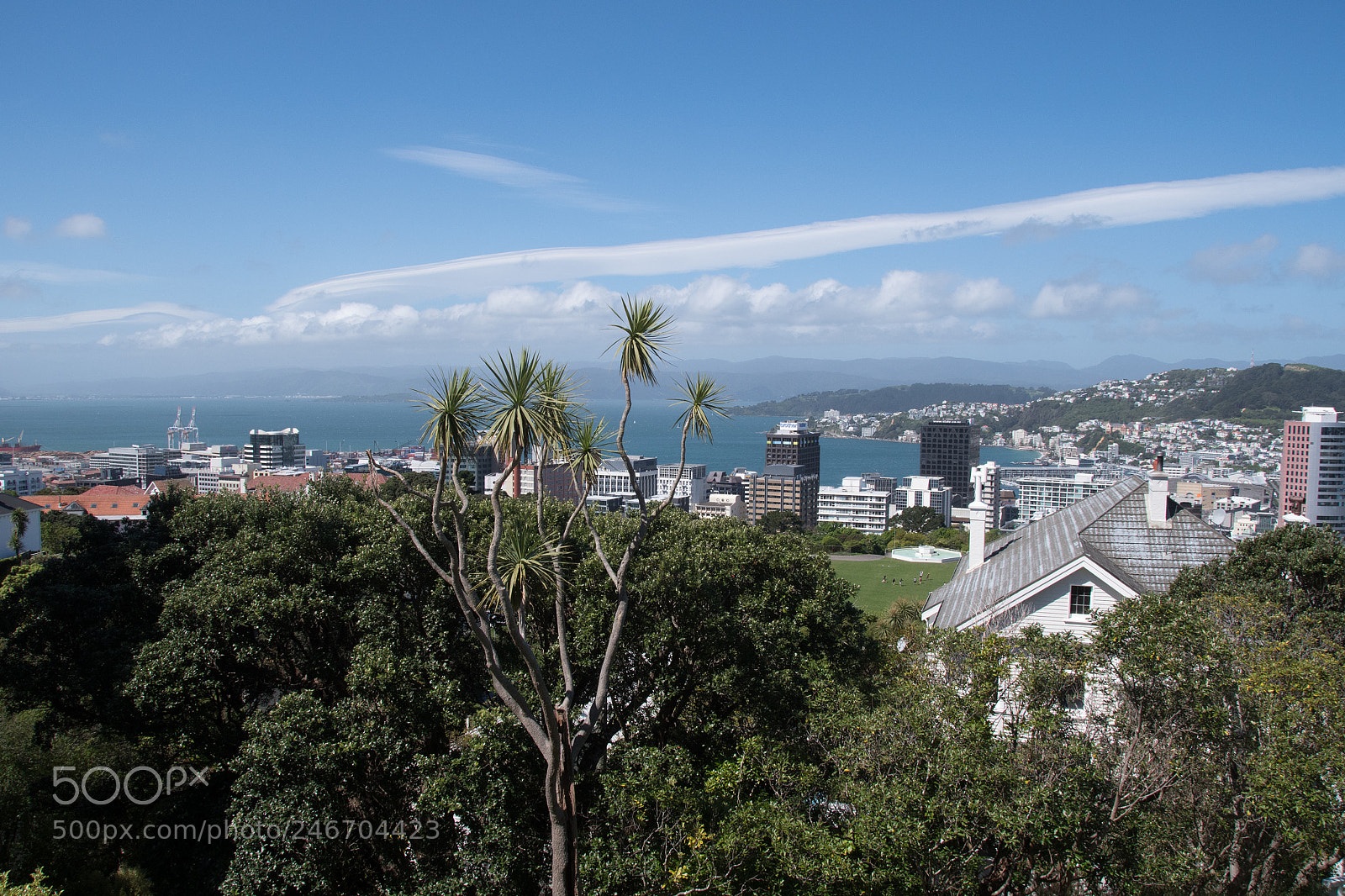 Nikon D500 sample photo. Ds photography