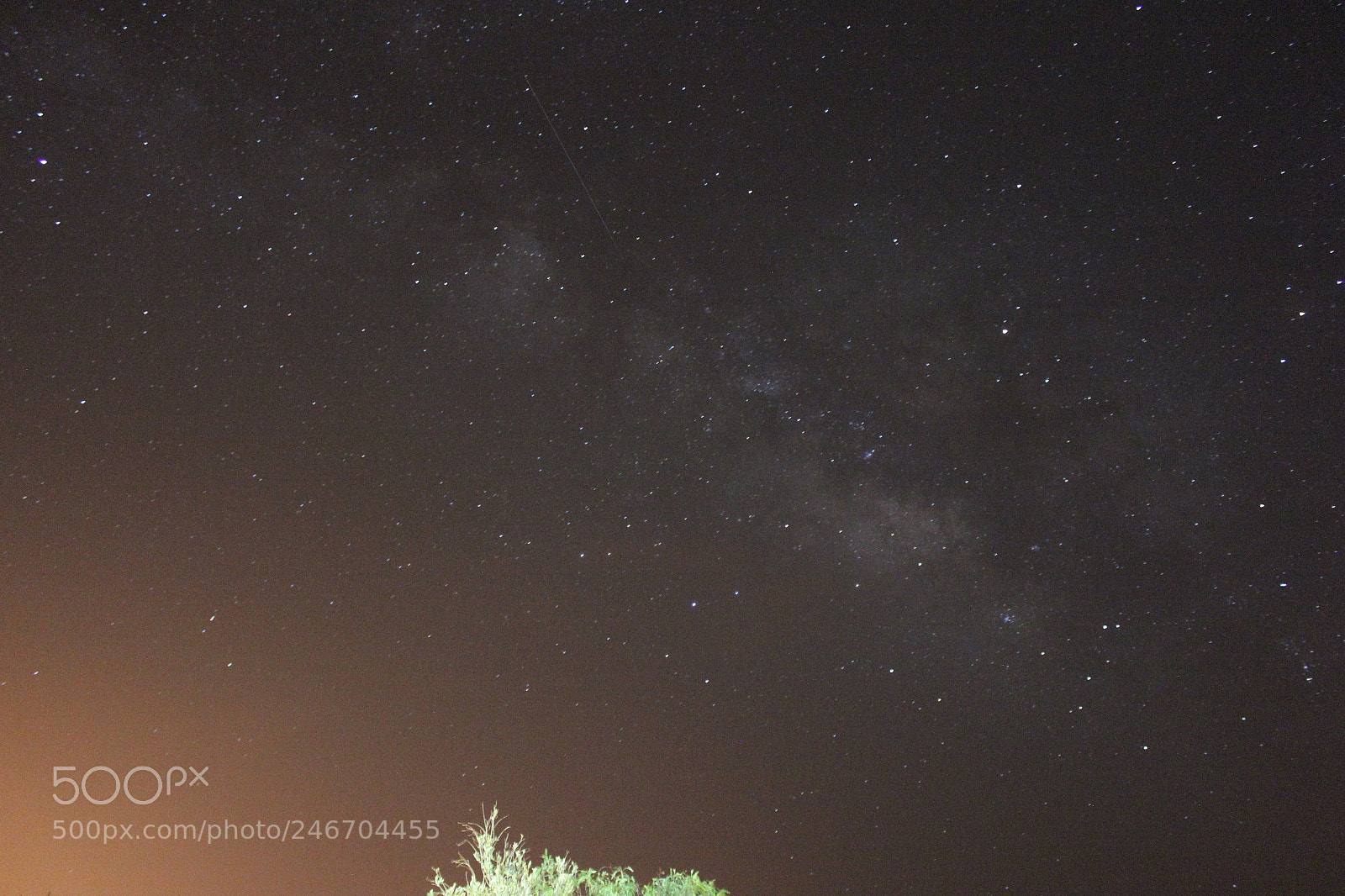 Canon EOS 600D (Rebel EOS T3i / EOS Kiss X5) sample photo. ? photography