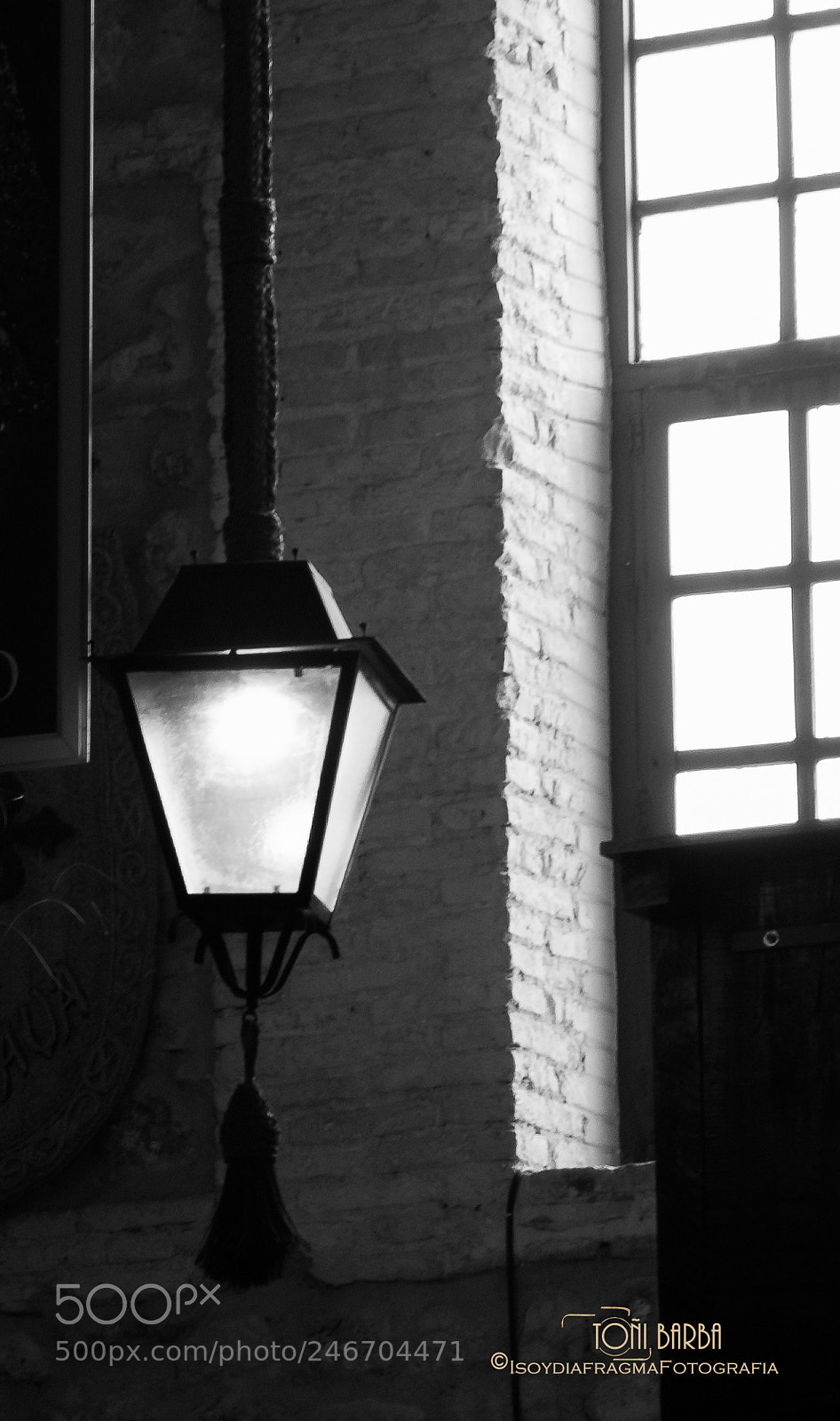 Nikon D80 sample photo. Untitled photography