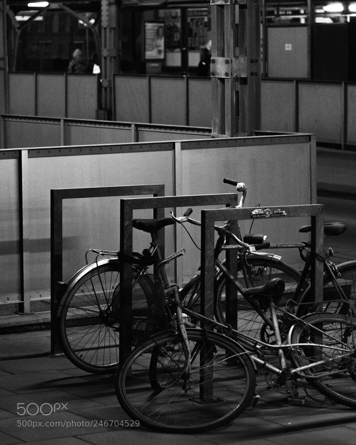Canon EOS 1300D (EOS Rebel T6 / EOS Kiss X80) sample photo. Lost / not found photography