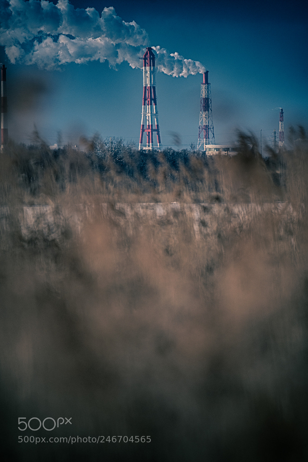 Nikon D500 sample photo. Rocket photography