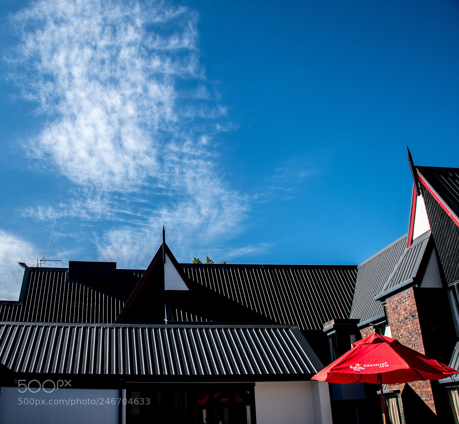 Nikon D500 sample photo. Ds photography