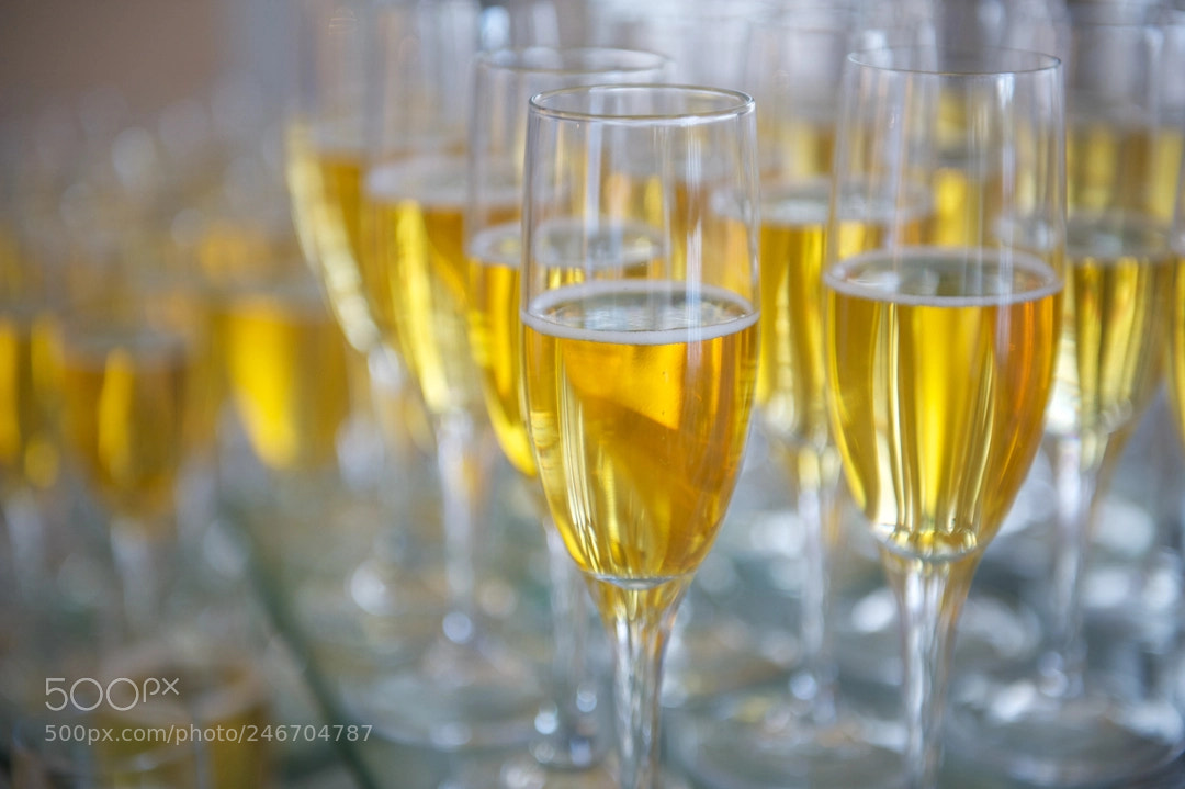 Nikon D3 sample photo. Champagne photography