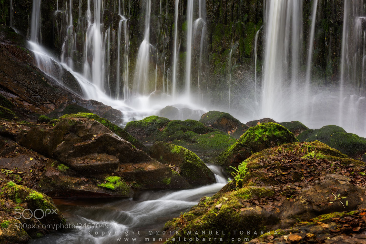 Nikon D810 sample photo. Suaron river photography