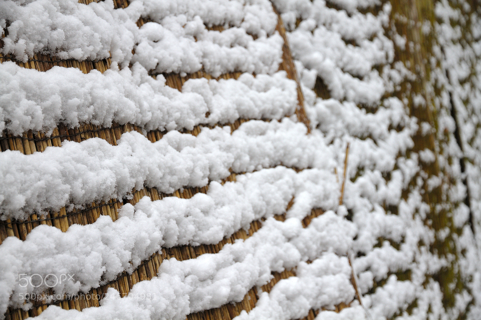 Canon EOS 7D sample photo. Snow on the wall photography