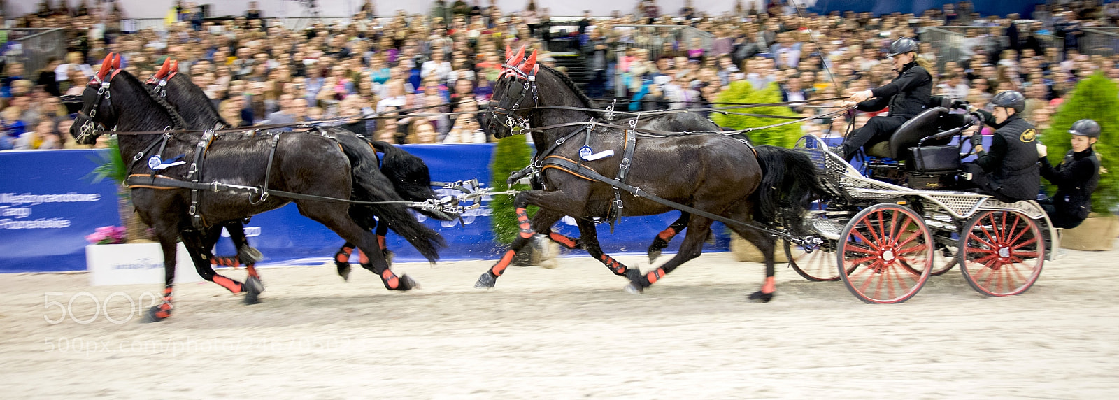 Nikon D7100 sample photo. Cavaliada 2018 photography