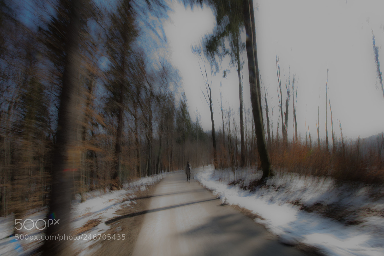Canon EOS 60D sample photo. Winter dream photography