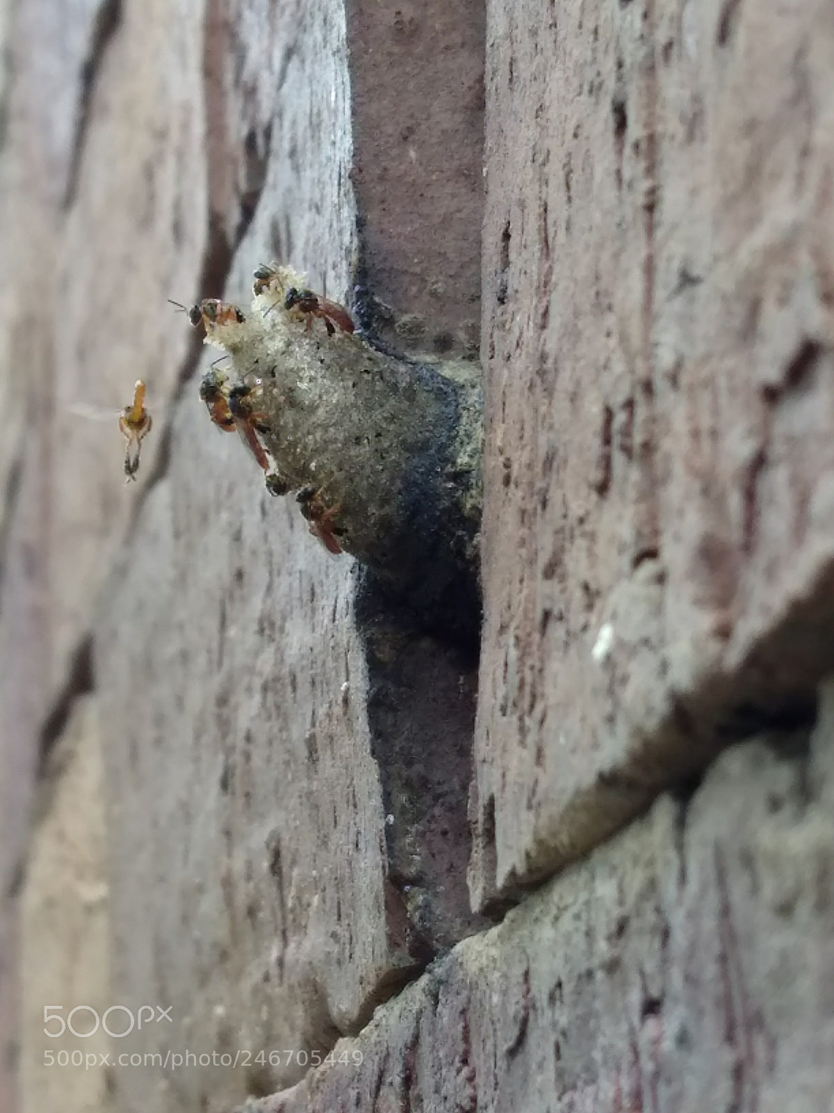 Motorola Moto G Play sample photo. Untitled photography