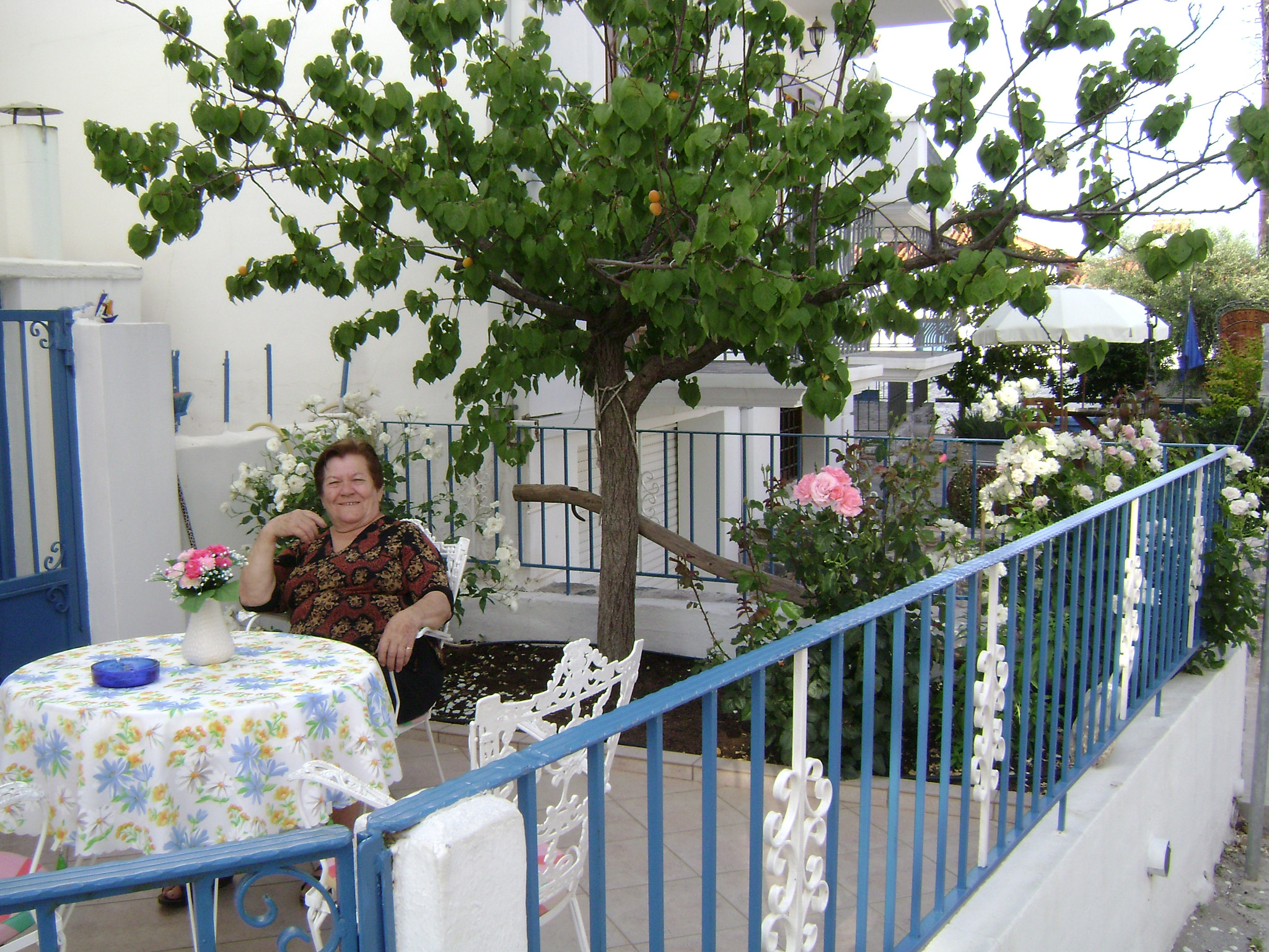Sony DSC-S650 sample photo. Κυπαρίσσι Λακωνίας - kyparissi laconia photography