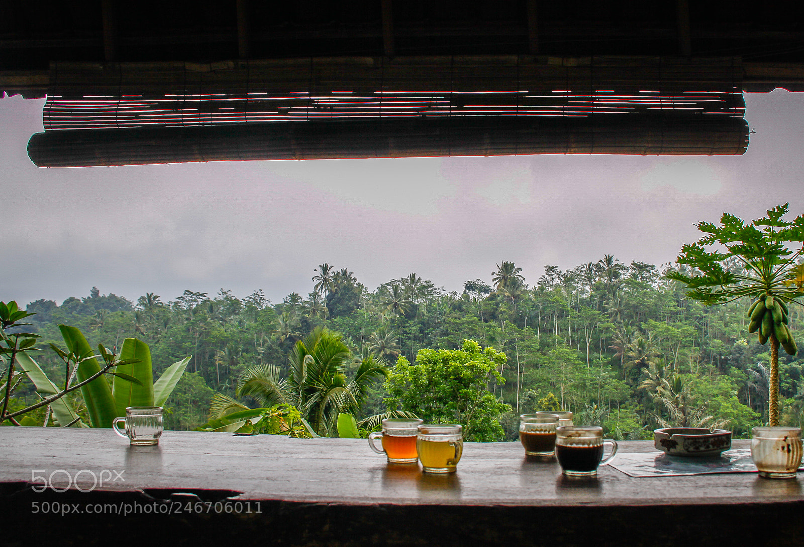 Canon EOS 50D sample photo. Tea with a view photography