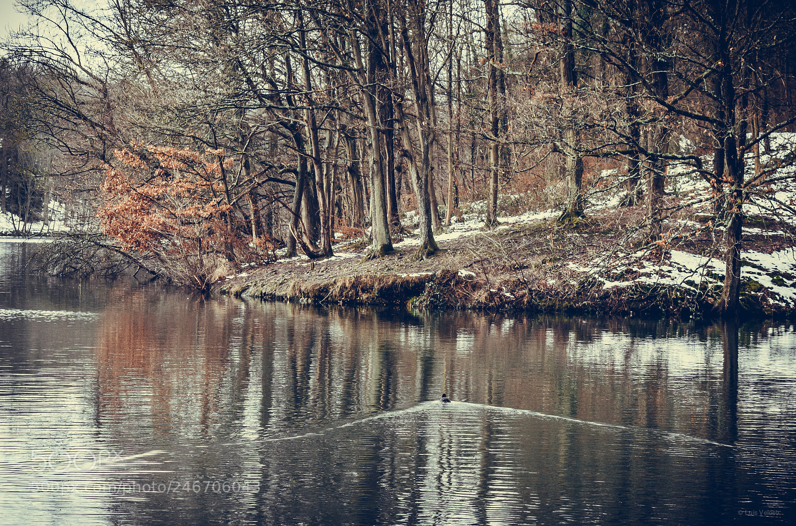 Pentax K-30 sample photo. Cold winter photography