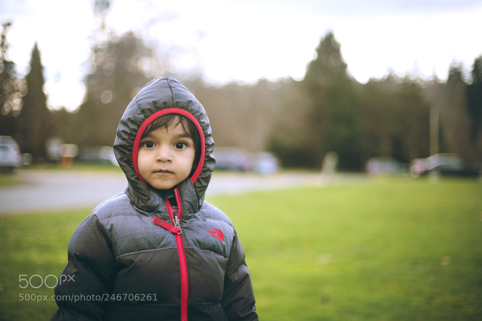 Canon EOS 6D Mark II sample photo. * photography