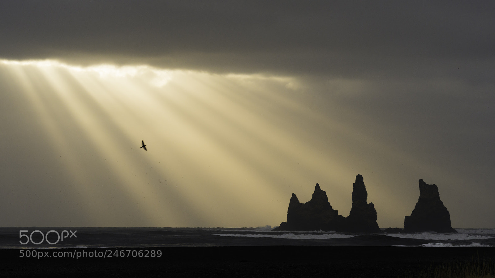Nikon D800 sample photo. Reynisdrangar photography