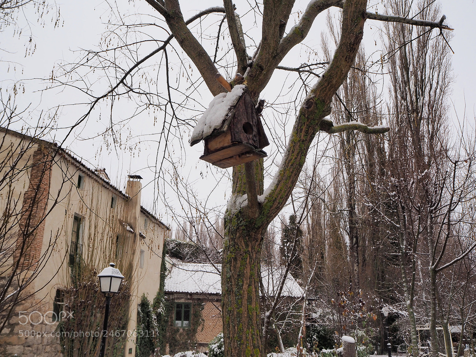 Olympus OM-D E-M10 sample photo. Tejado nevado photography