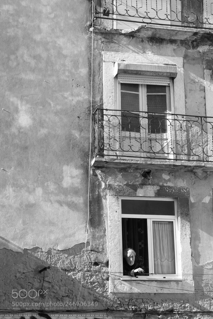 Canon EOS 550D (EOS Rebel T2i / EOS Kiss X4) sample photo. Old & lisbon photography