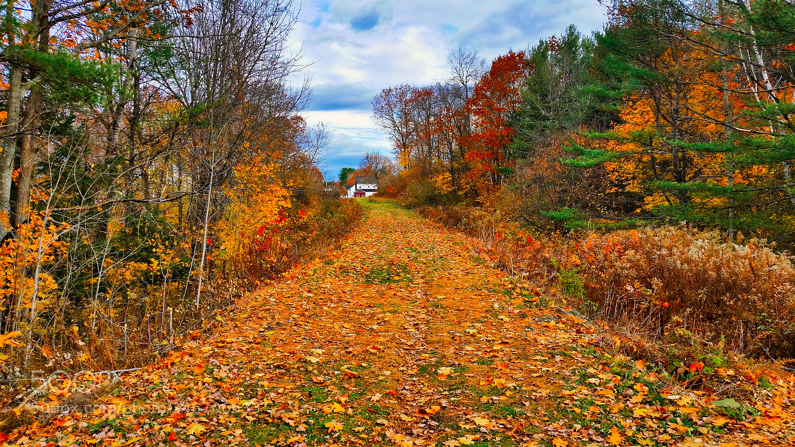 Samsung Galaxy S5 sample photo. Maine photography