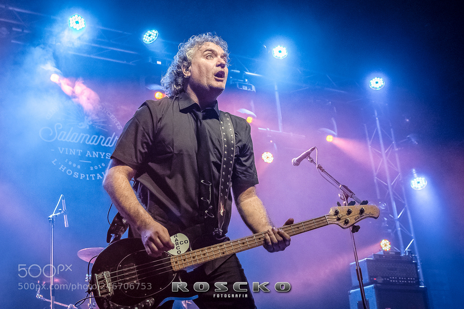 Nikon D500 sample photo. Reincidentes salamandra () photography