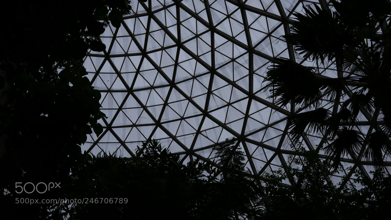 Panasonic Lumix DMC-GH4 sample photo. P photography