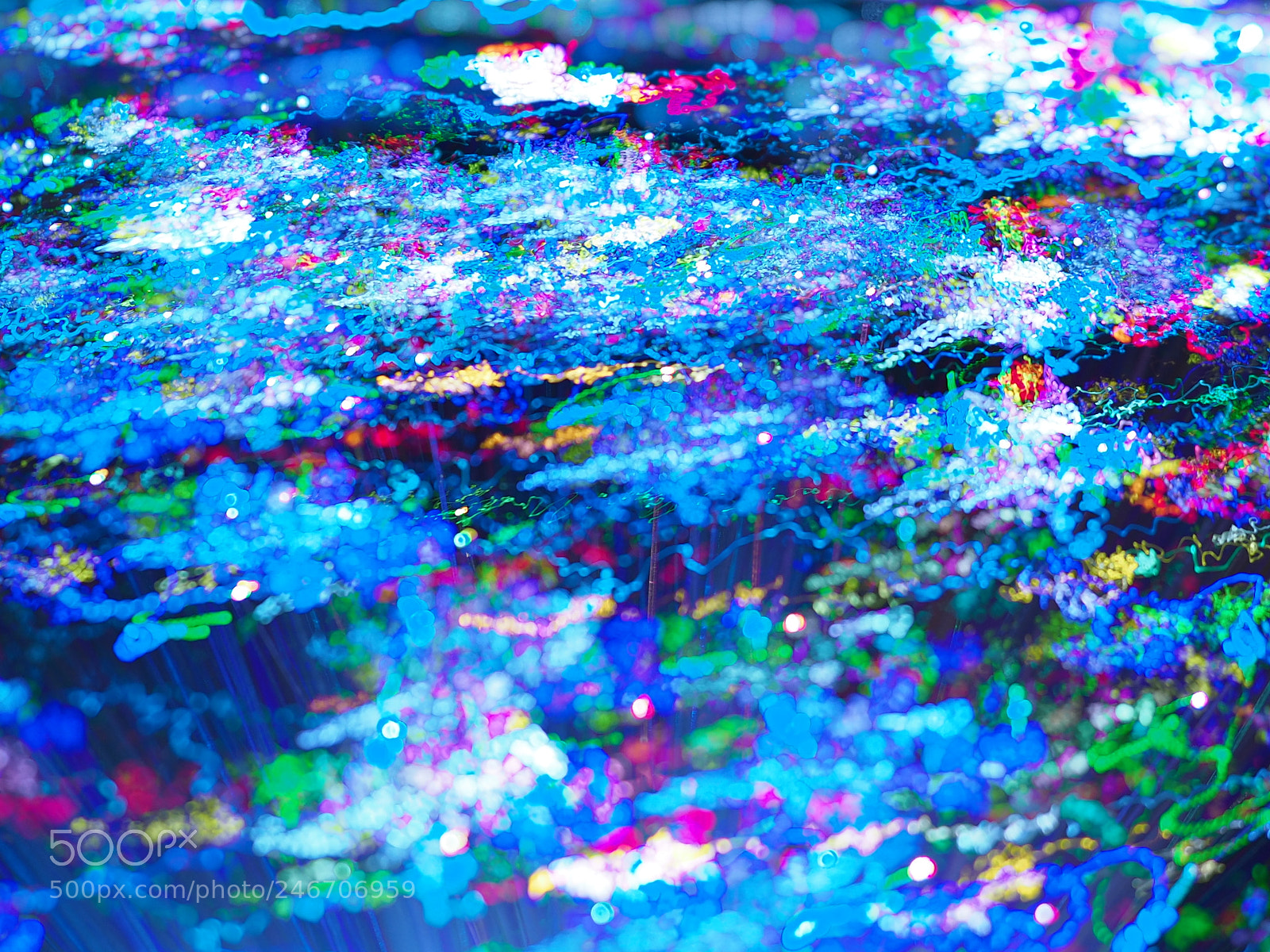 Olympus OM-D E-M1 Mark II sample photo. Blurred colors! photography