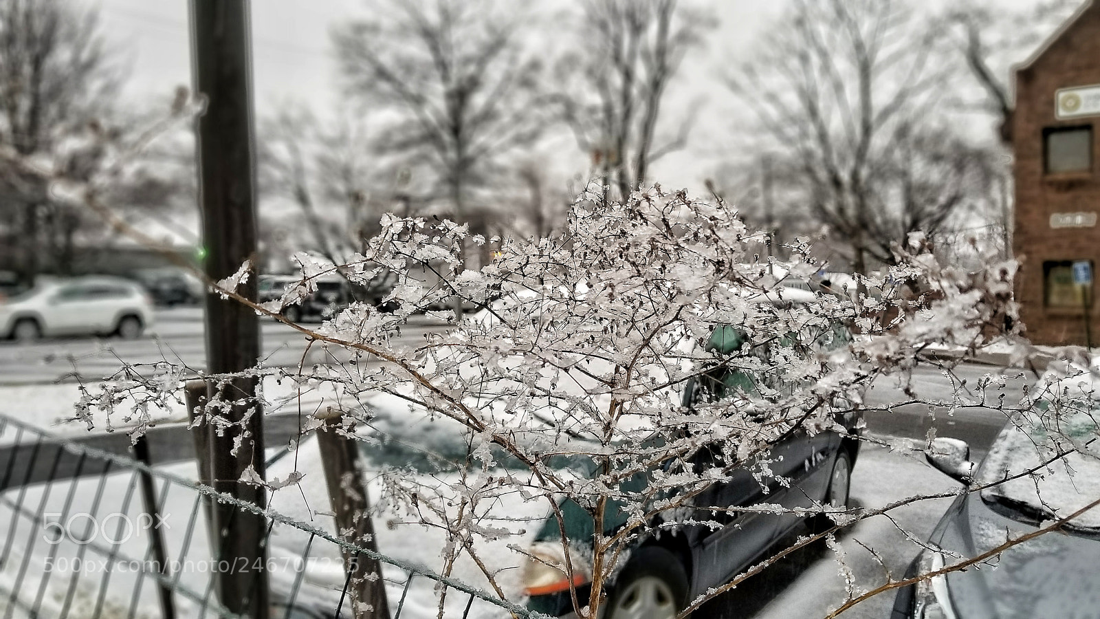 Samsung Galaxy S8 sample photo. Snow photography