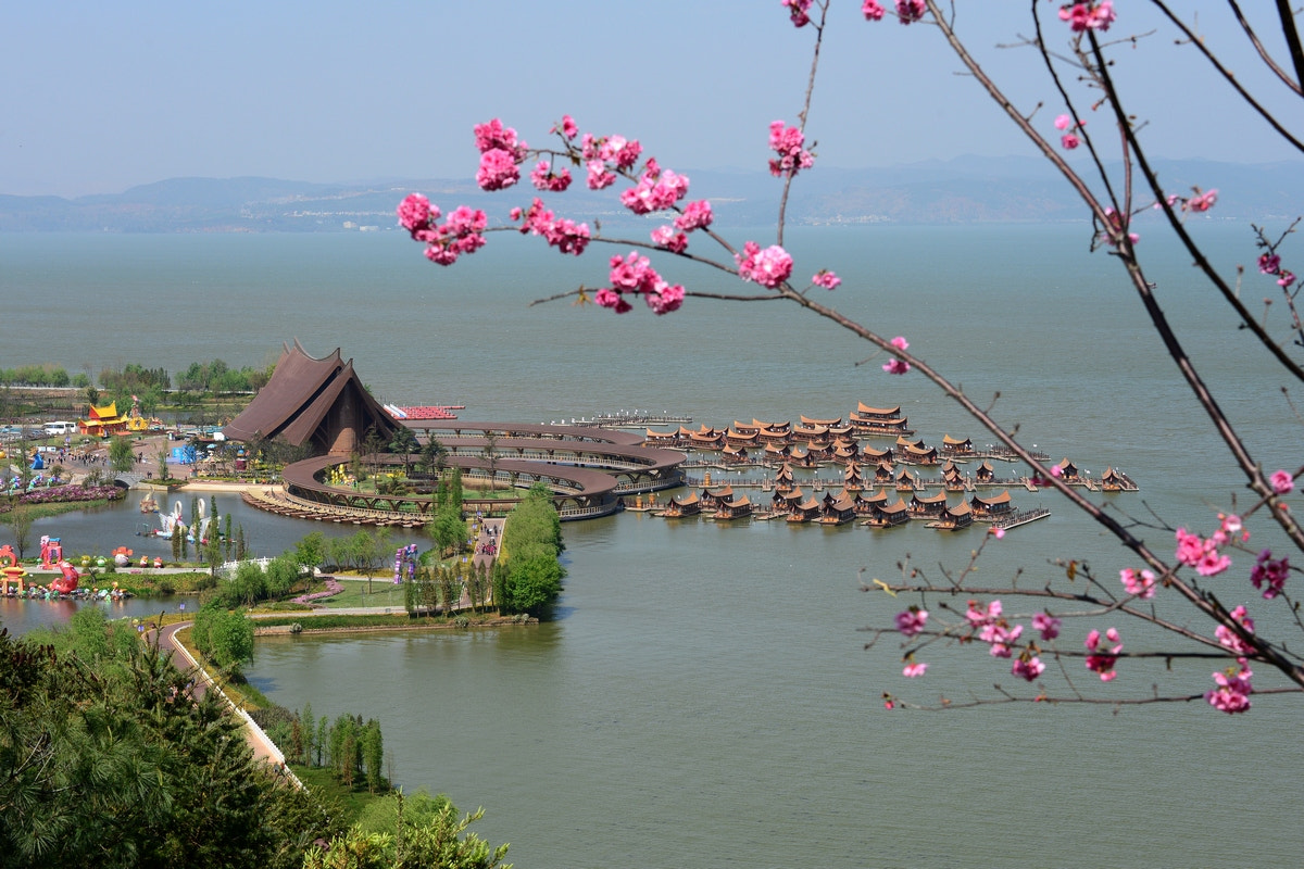 Nikon D800 sample photo
