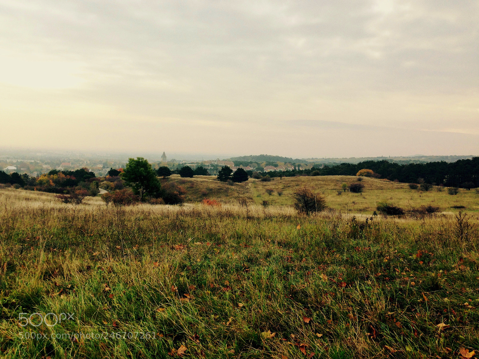 Apple iPhone 5 sample photo. Austrian landscape photography