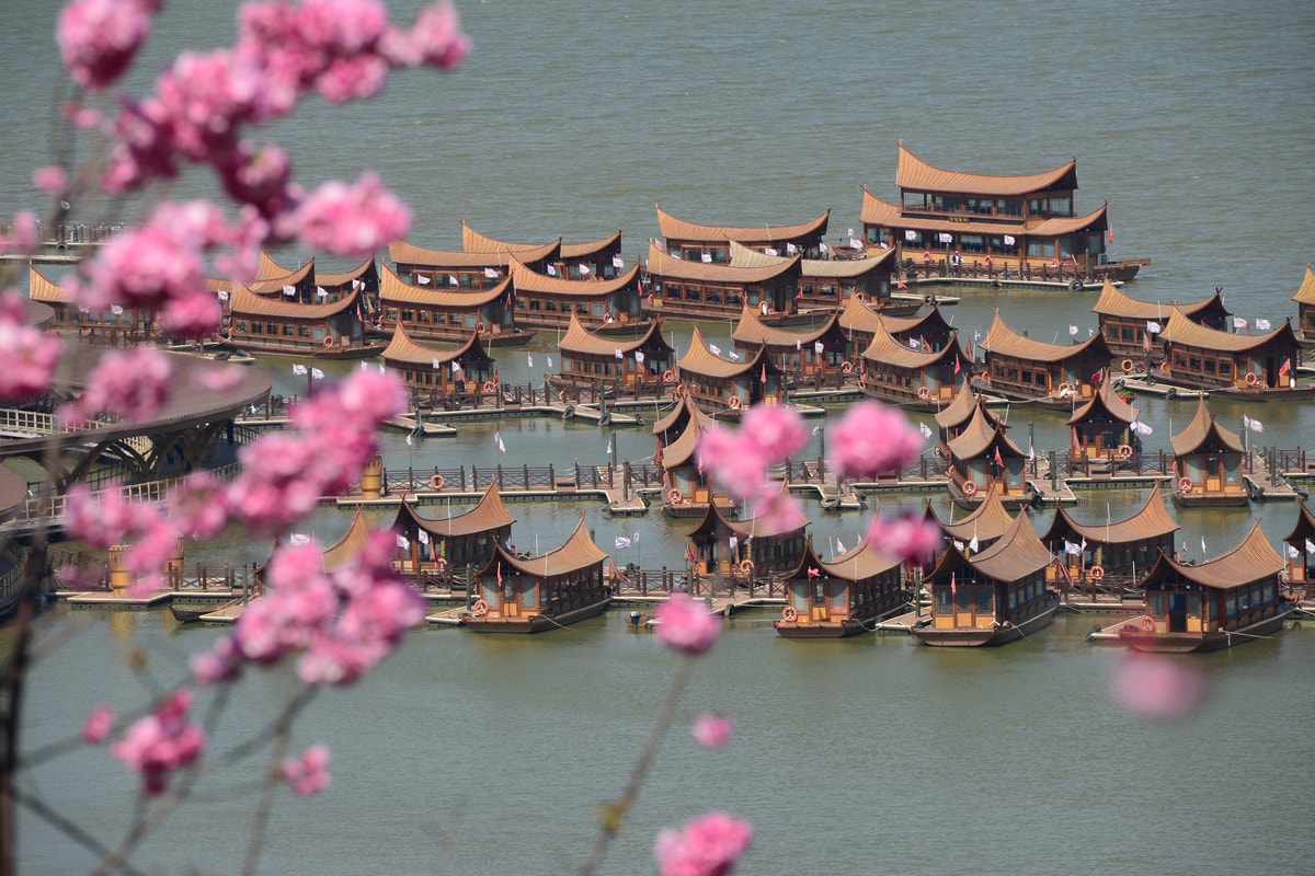 Nikon D800 sample photo