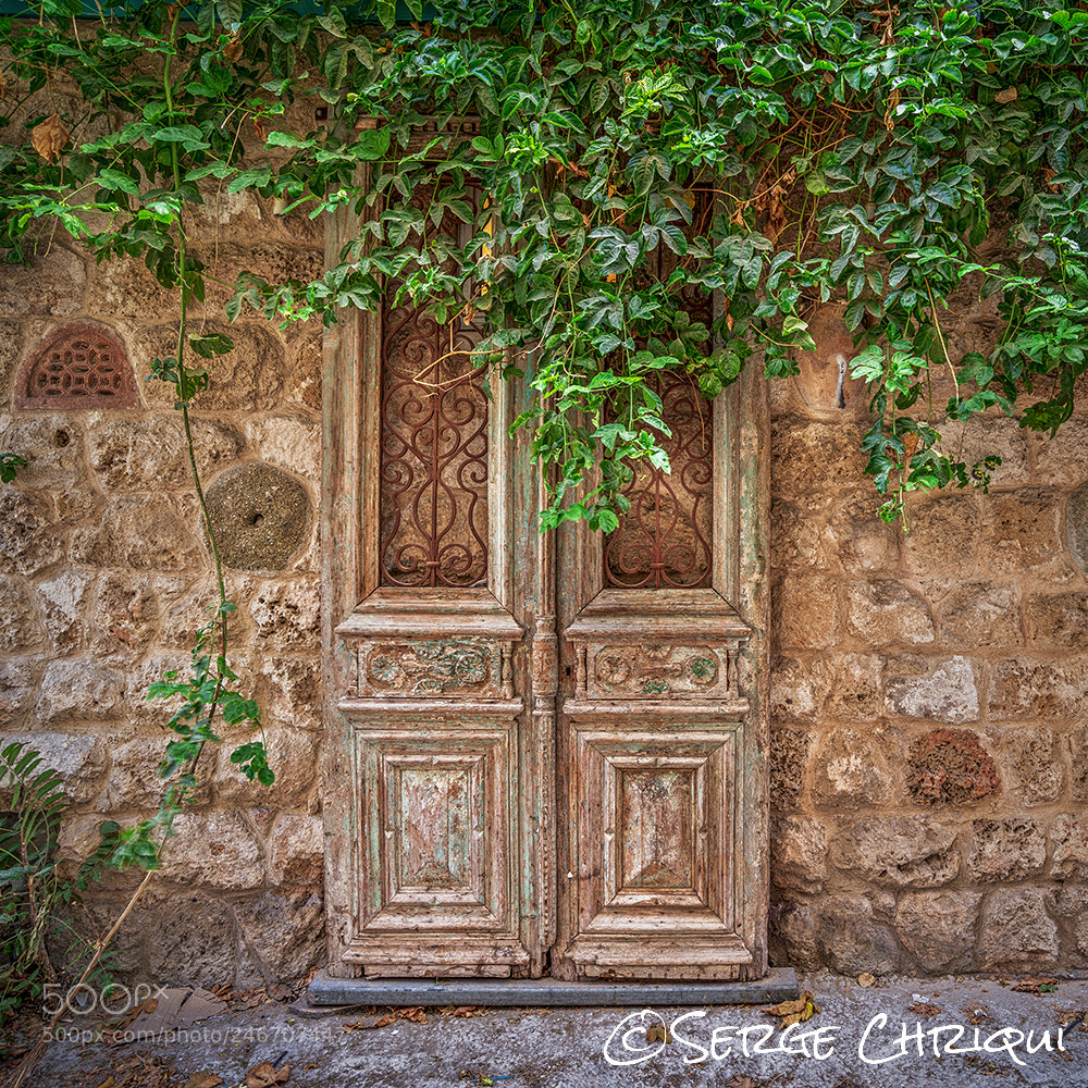 Nikon D800E sample photo. Doors in the alley (1:1) photography