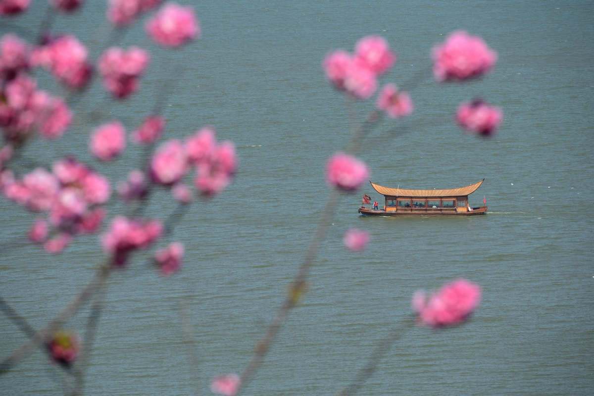 Nikon D800 sample photo