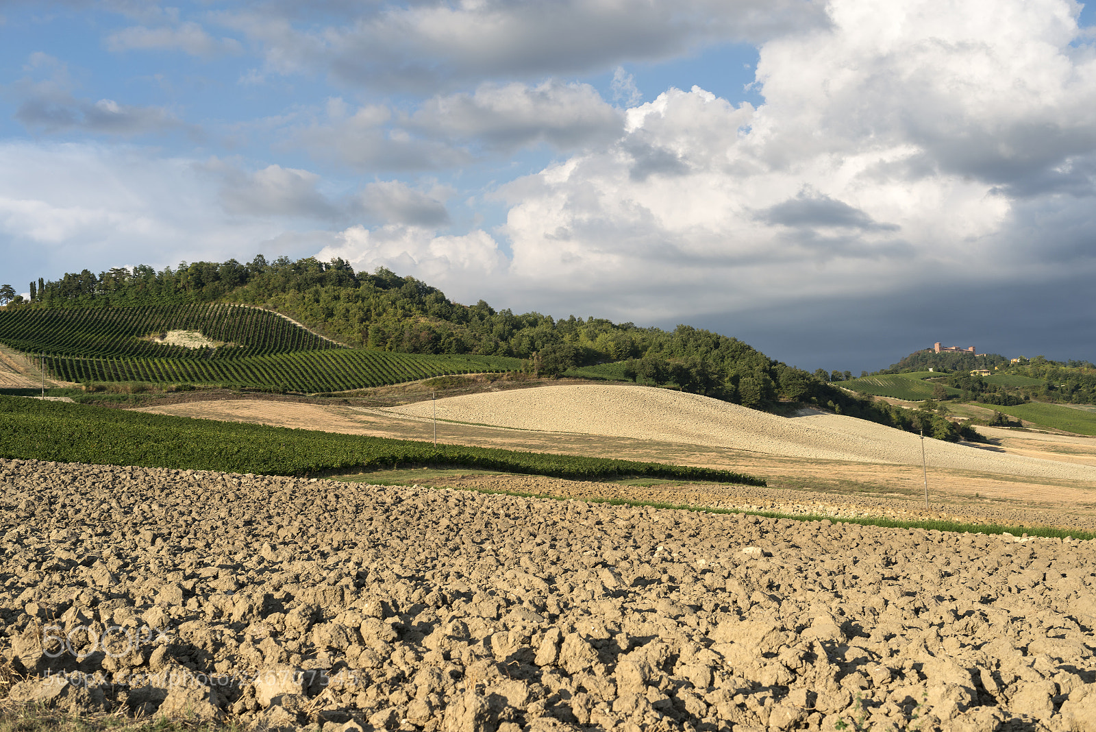 Nikon D800 sample photo. Vineyards in oltrepo pavese photography
