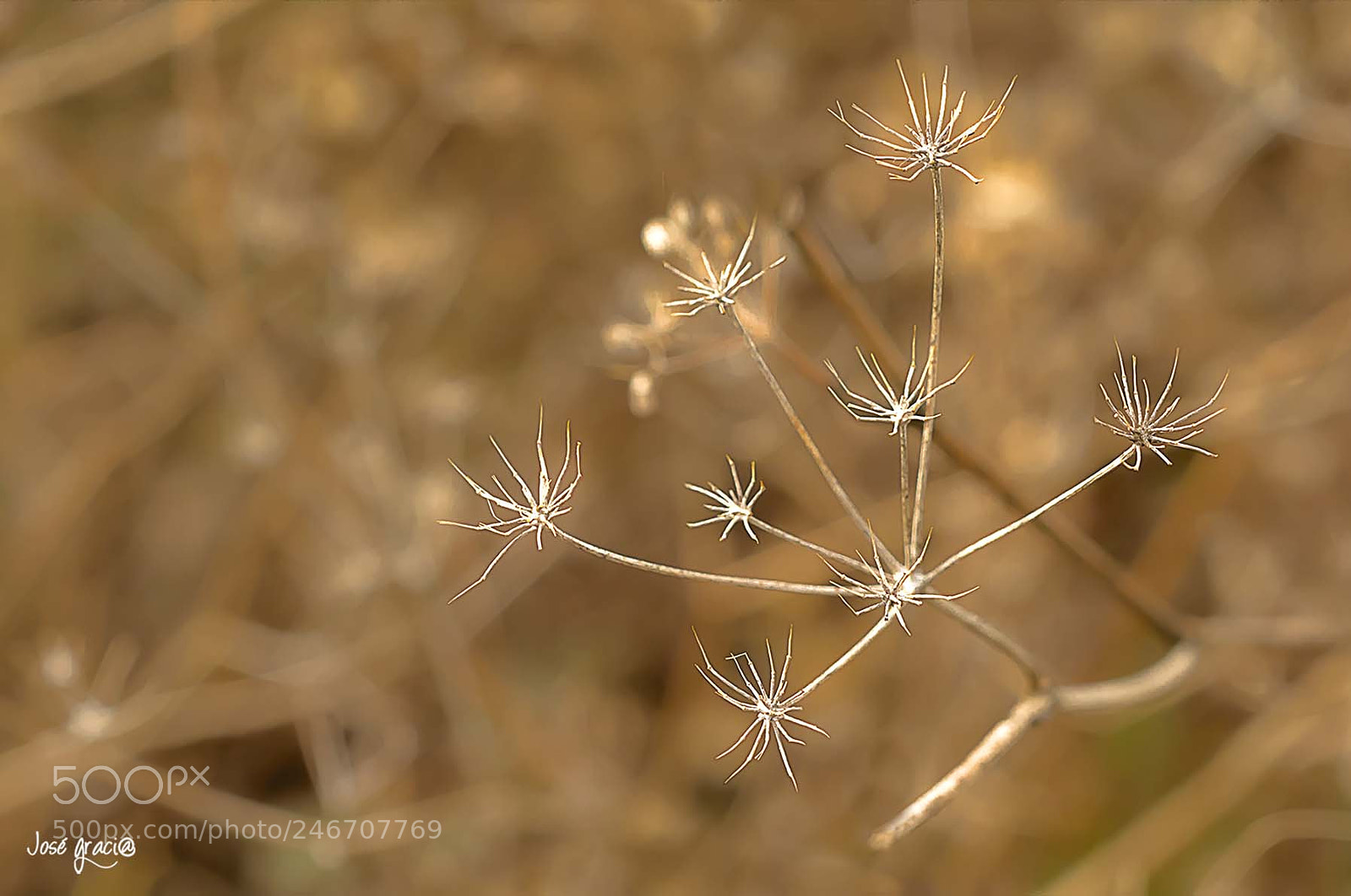 Nikon D7100 sample photo. Rainless photography